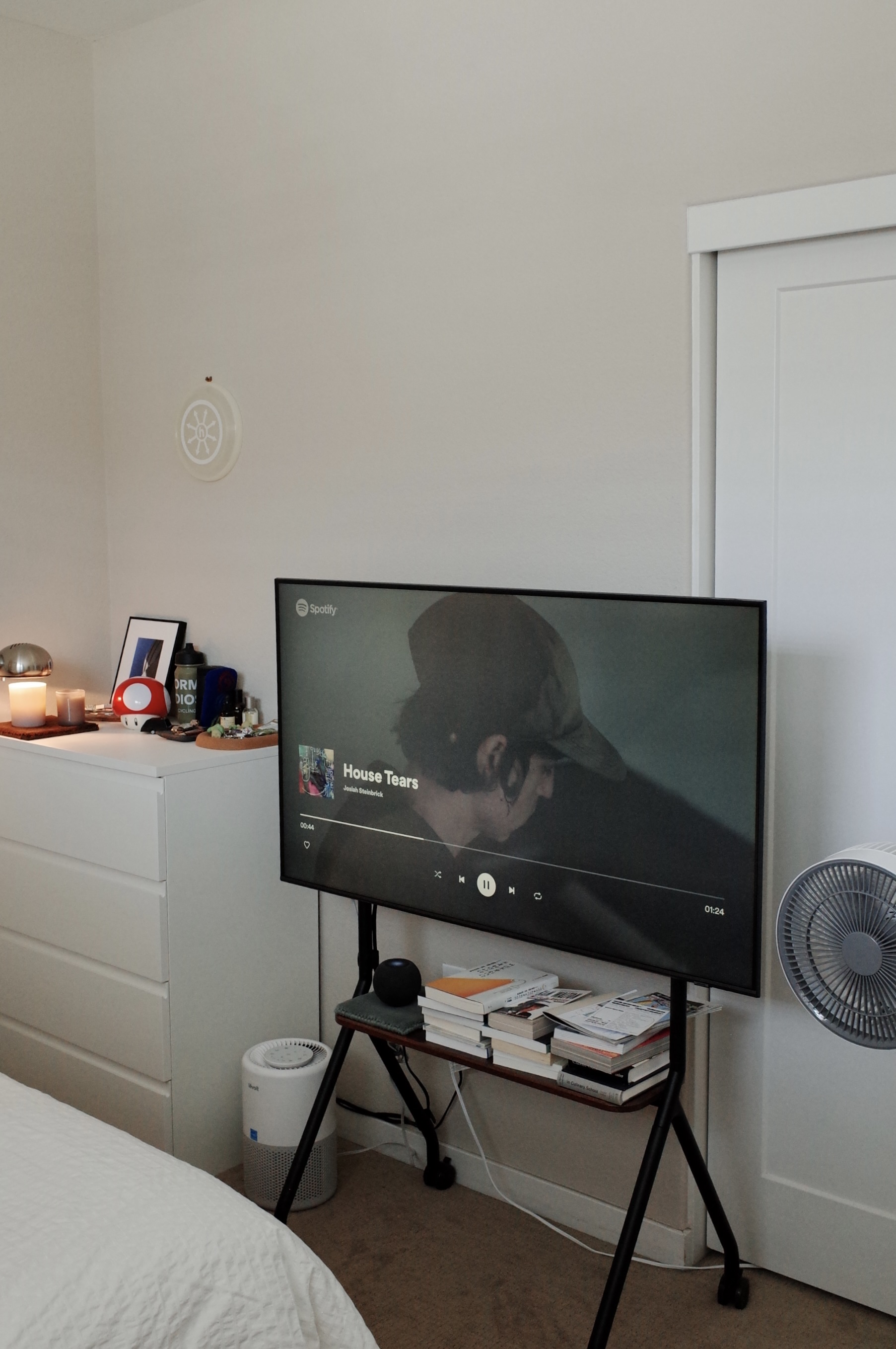 TV