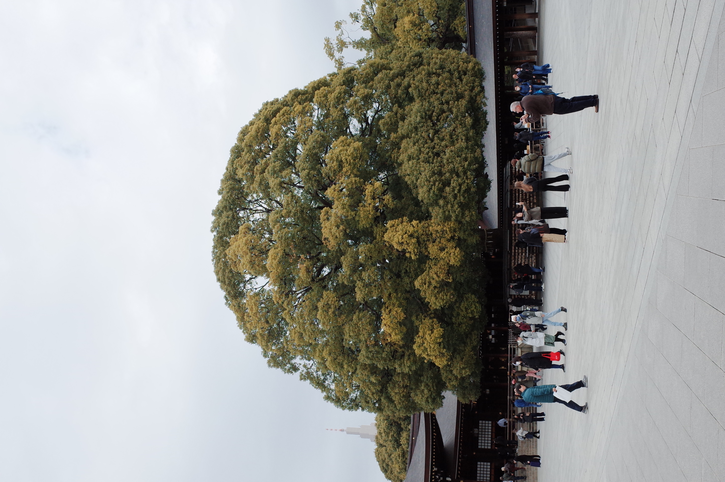 Meji Jingu