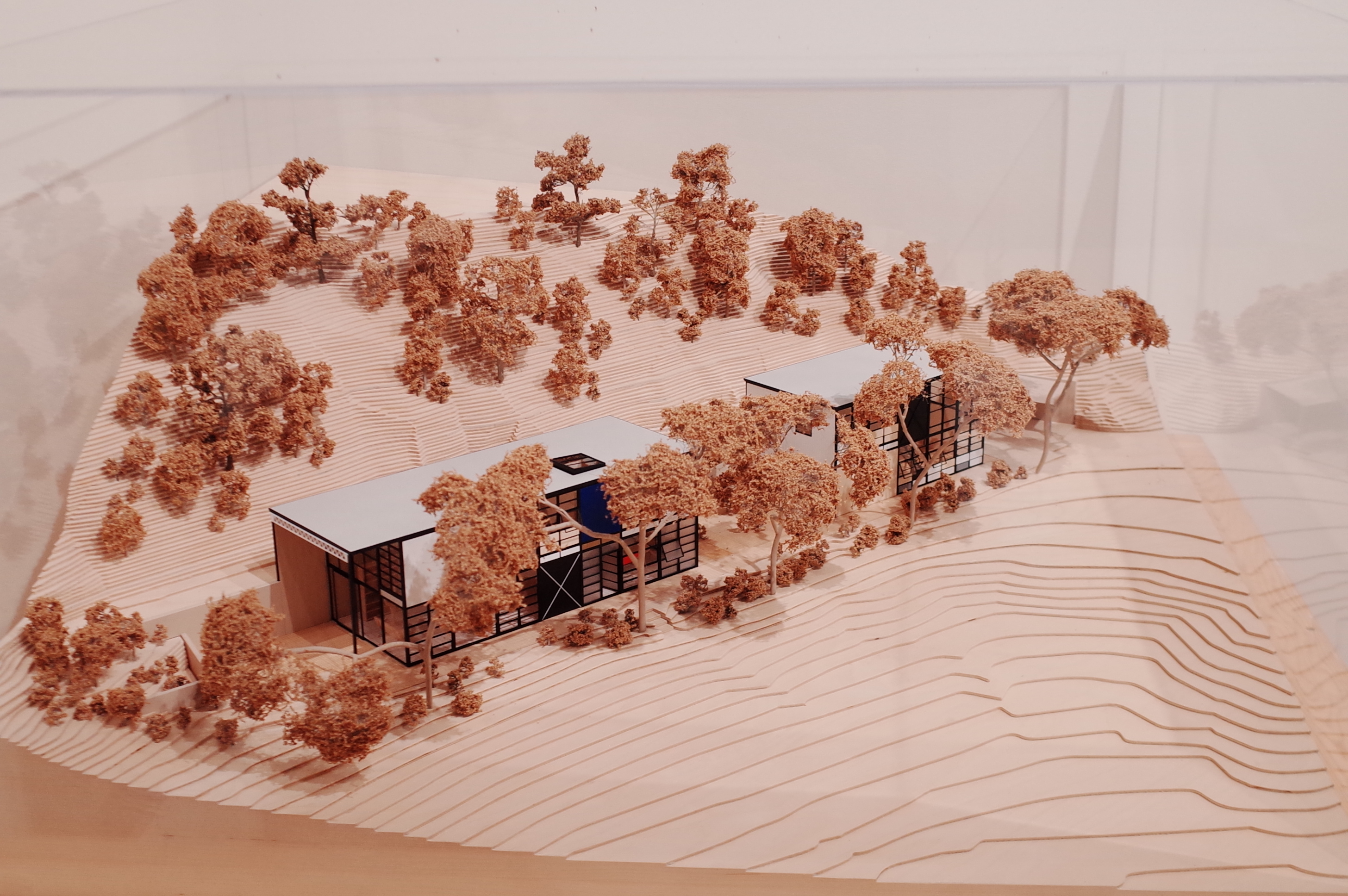 Model of the Eames House