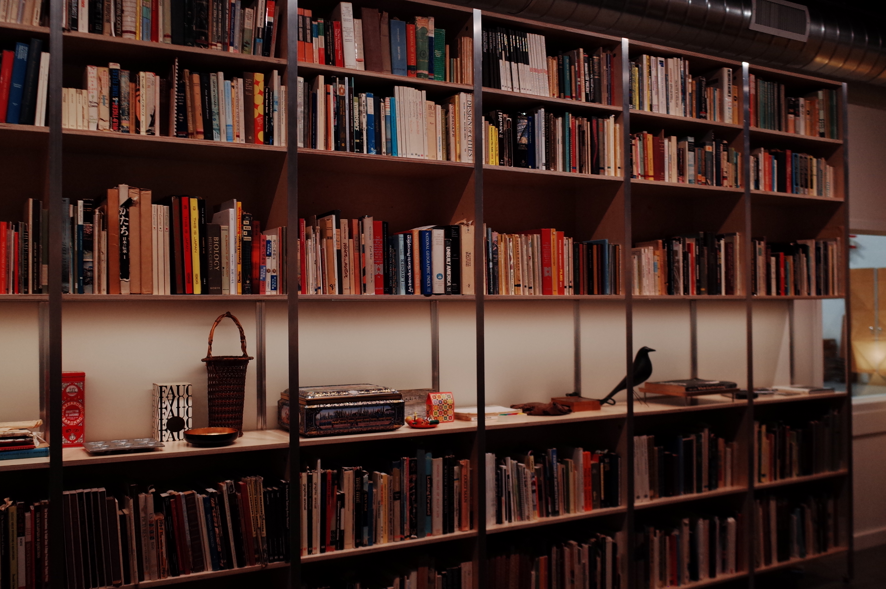 Bookshelves in the archive
