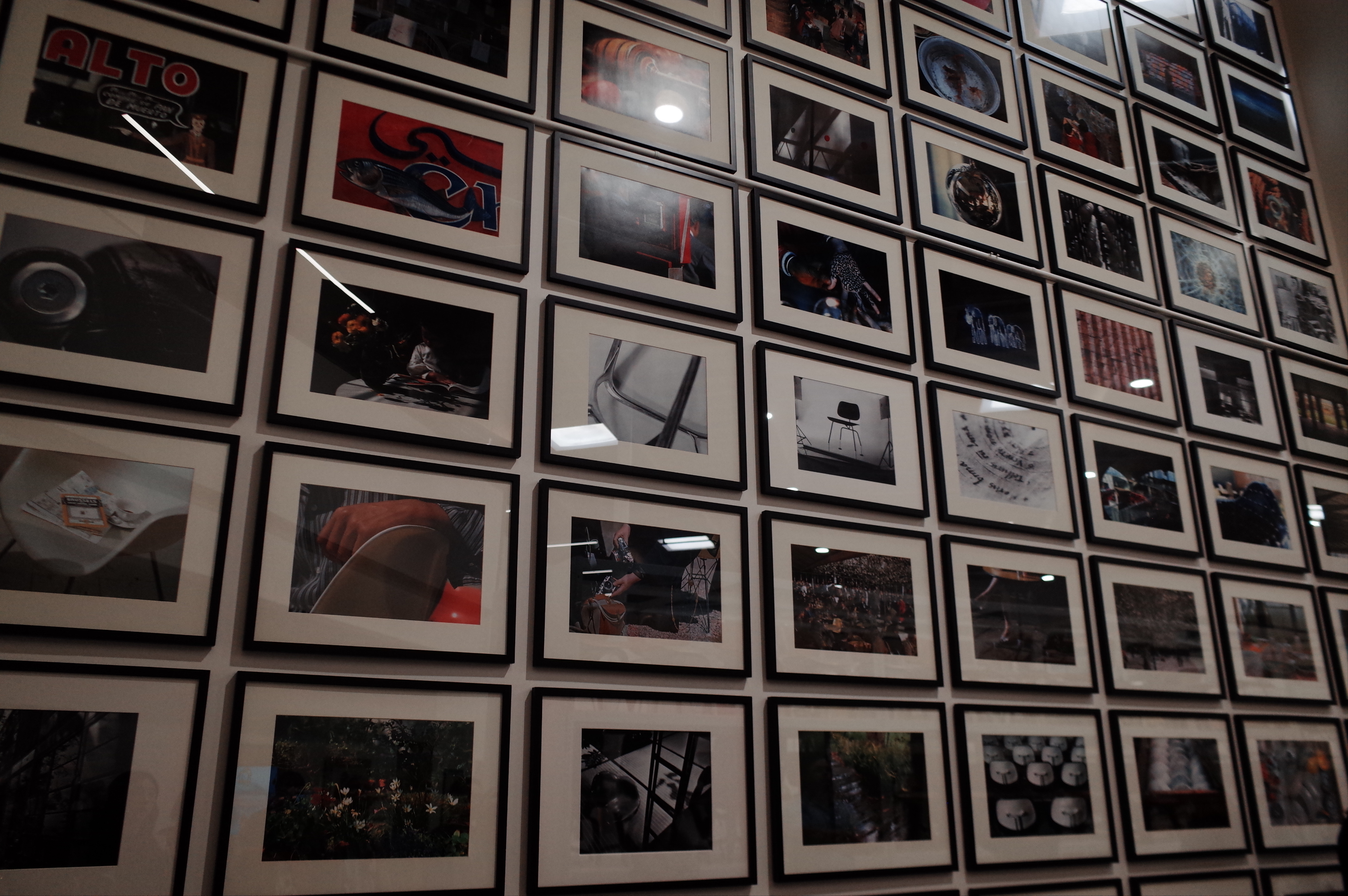 Wall of photographs