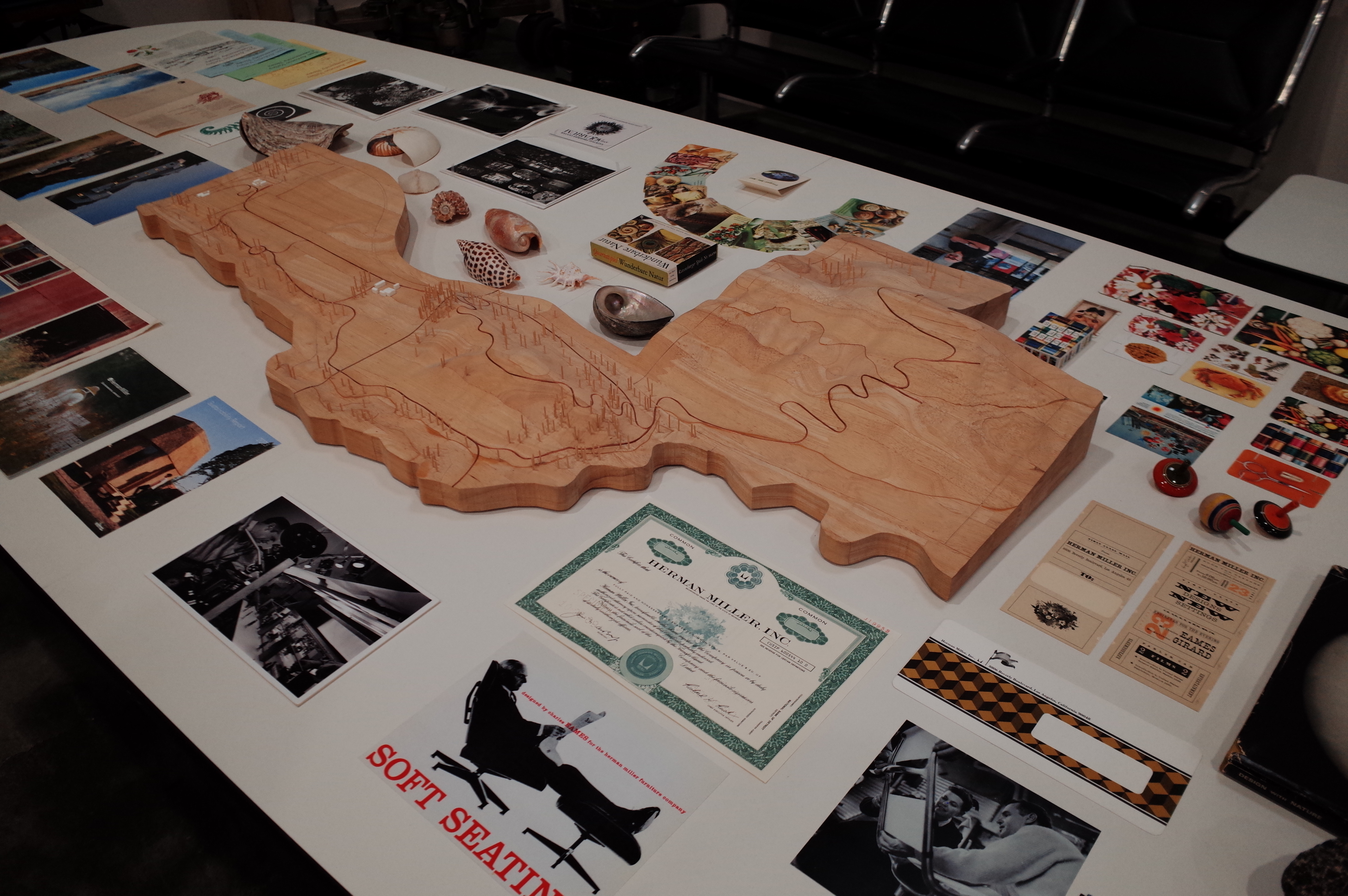 Archive table with shells and ephemera