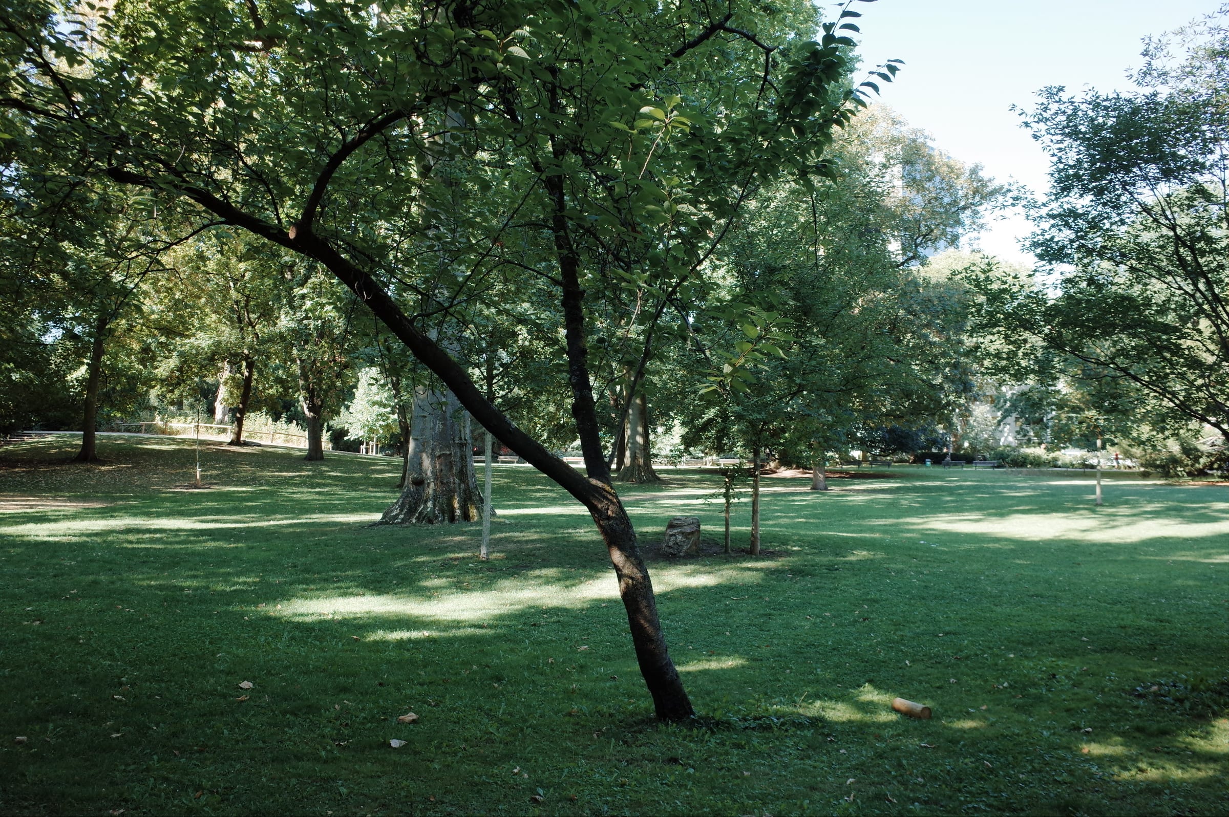Frankfurt street view