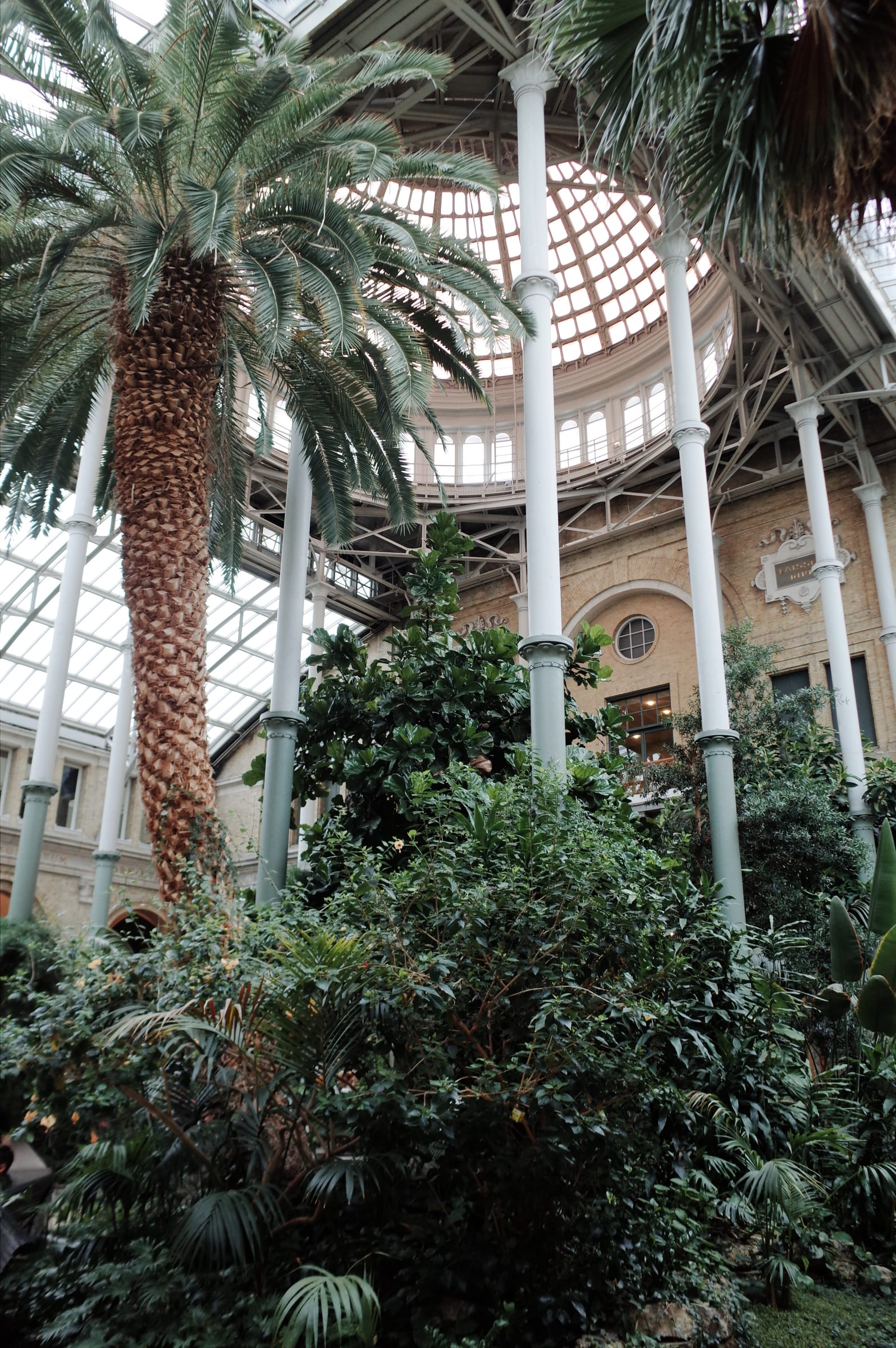 Ny Carlsberg Glyptotek