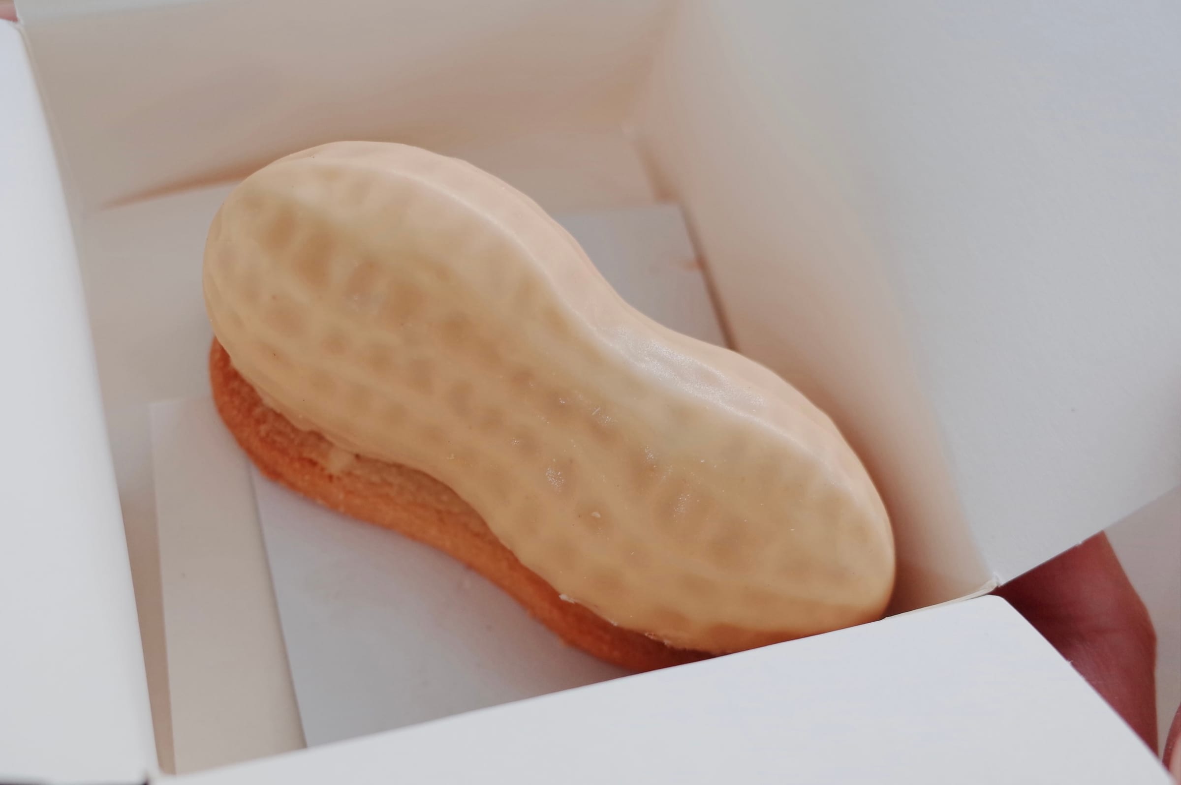 Les Merveilles des Bourguignons