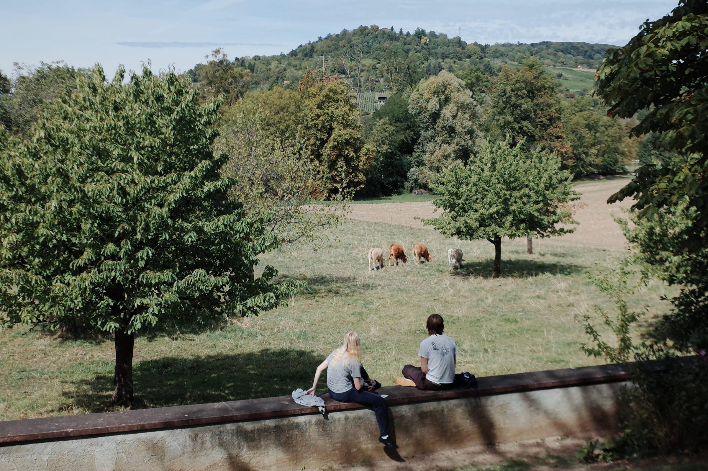 Fondation Beyeler