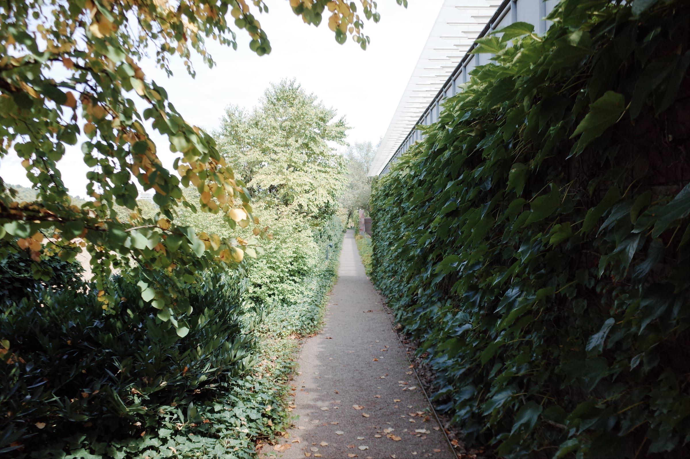 Fondation Beyeler
