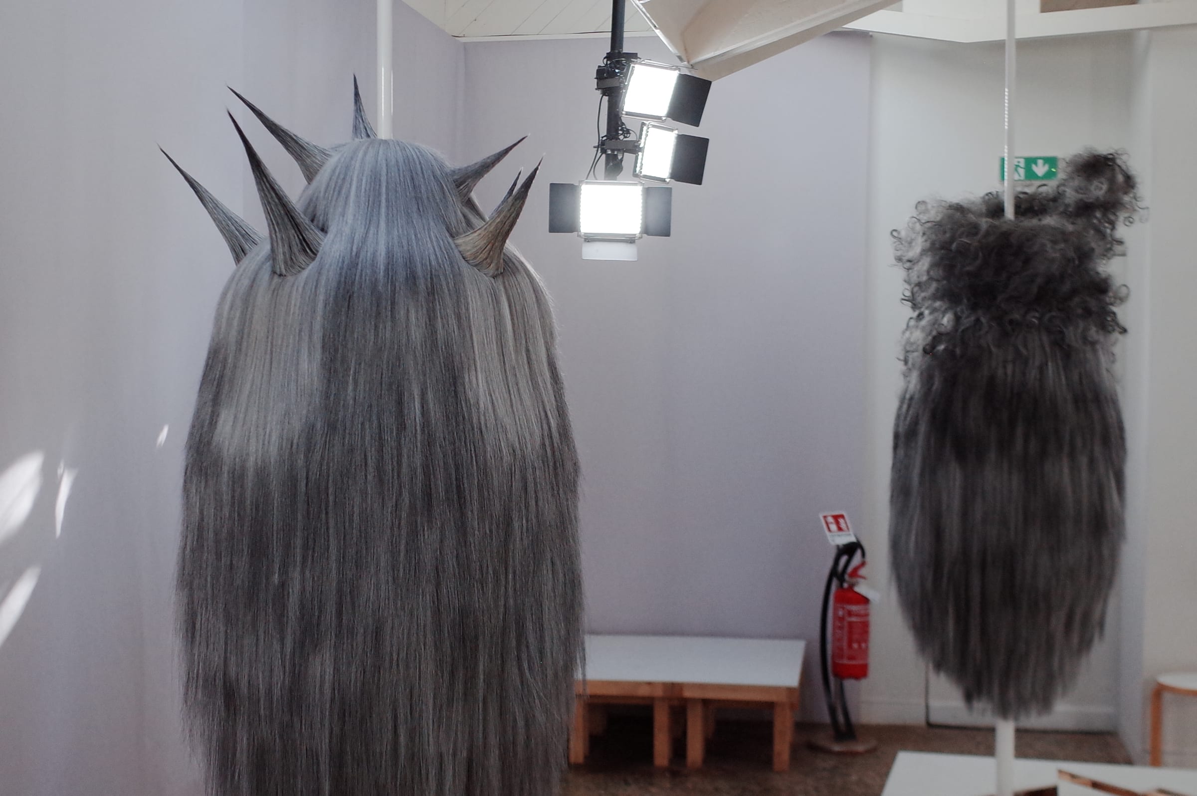 Venice Biennale