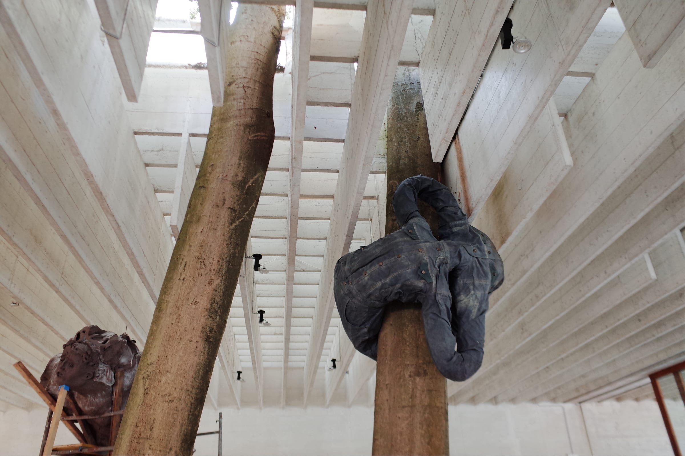 Venice Biennale