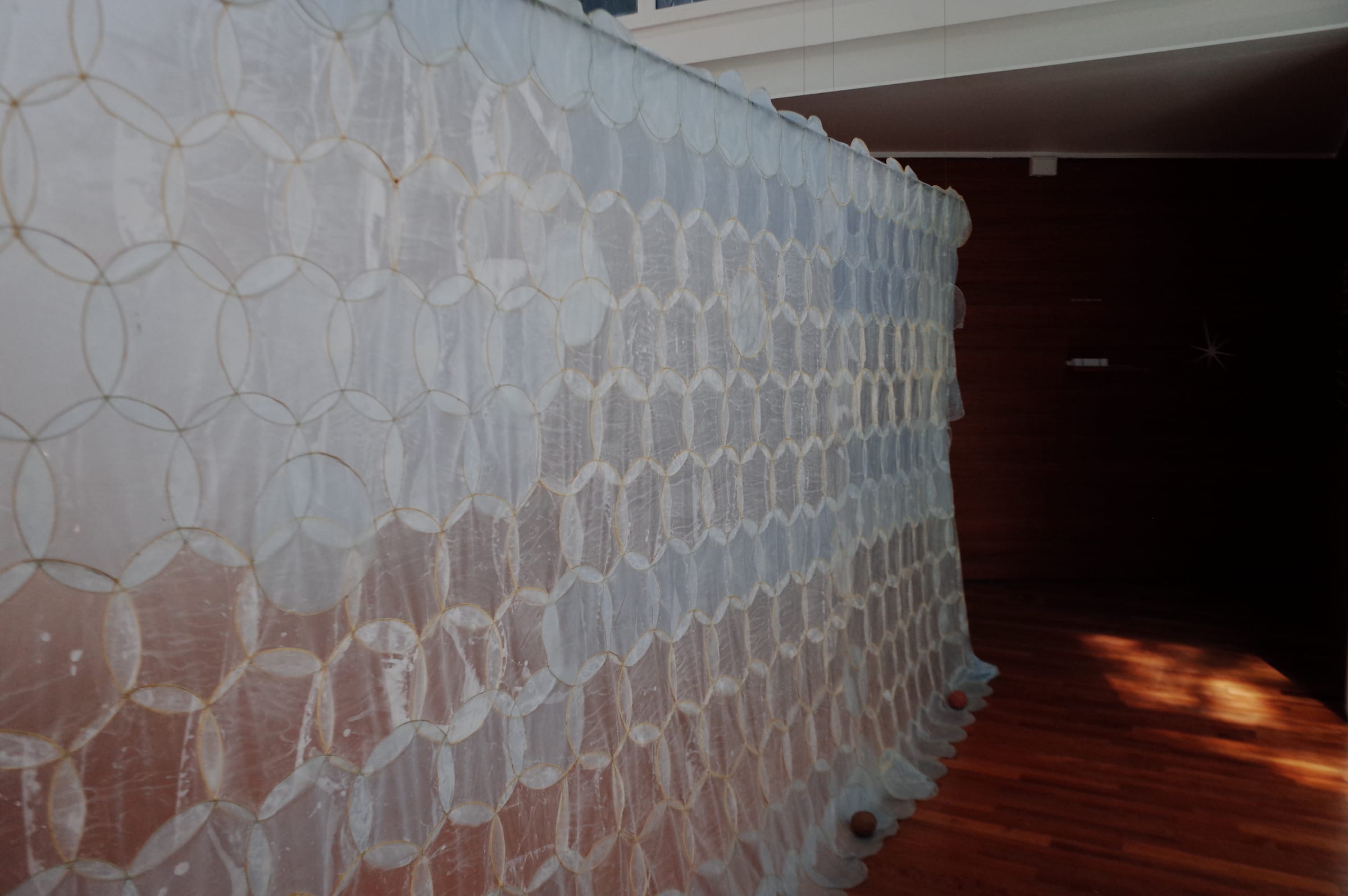 Venice Biennale