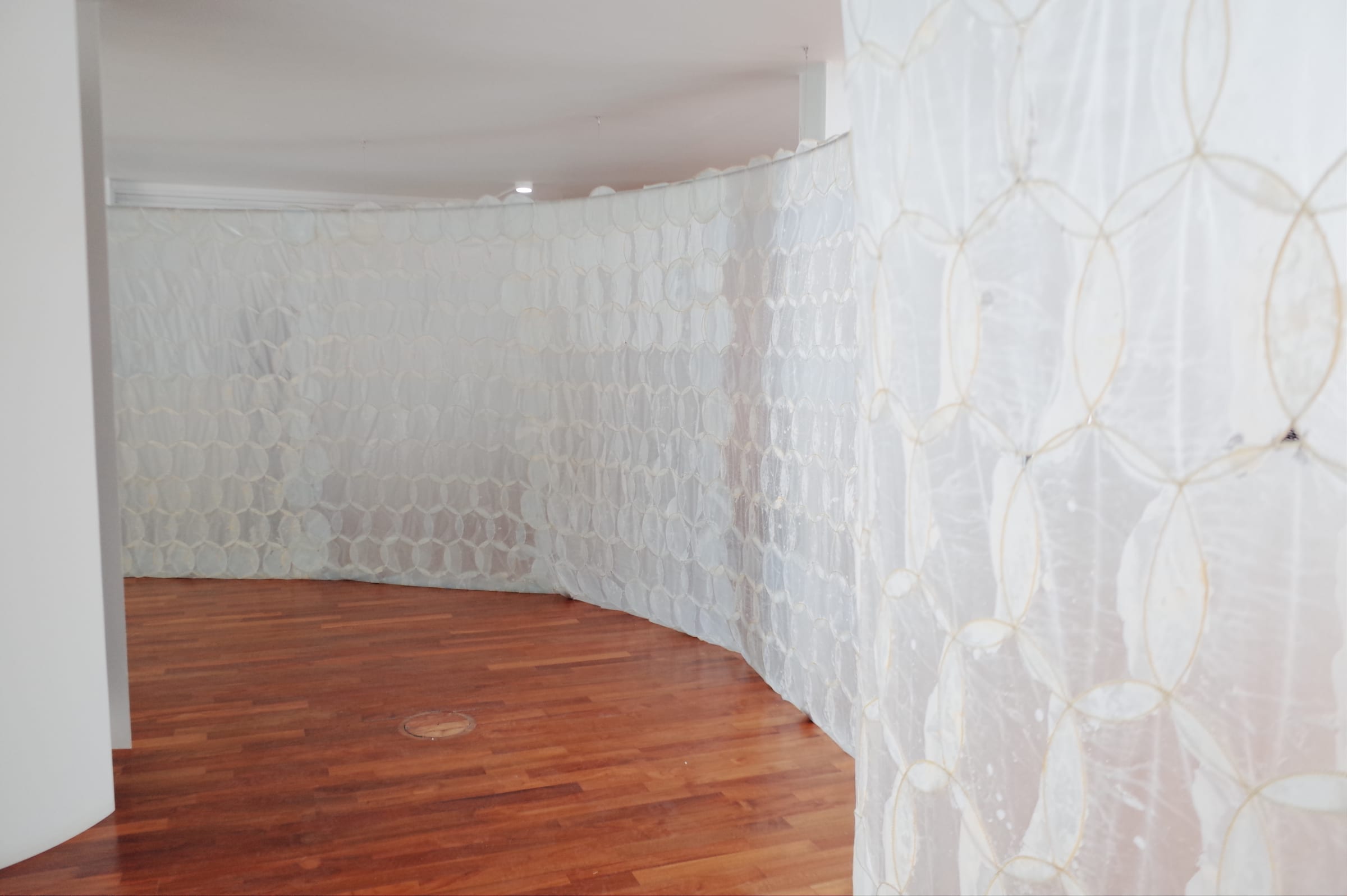 Venice Biennale