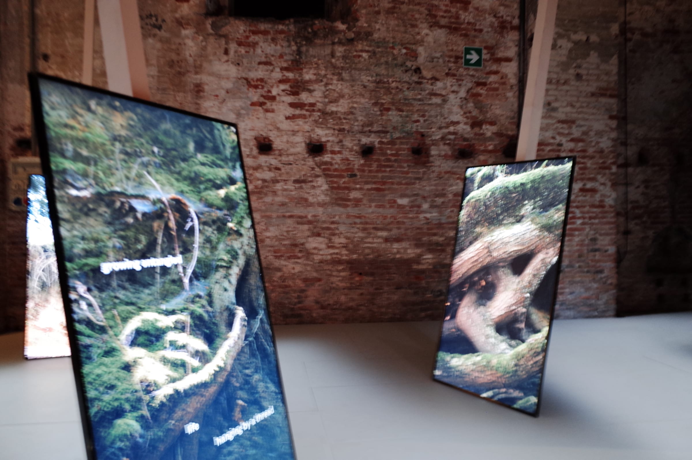 Venice Biennale