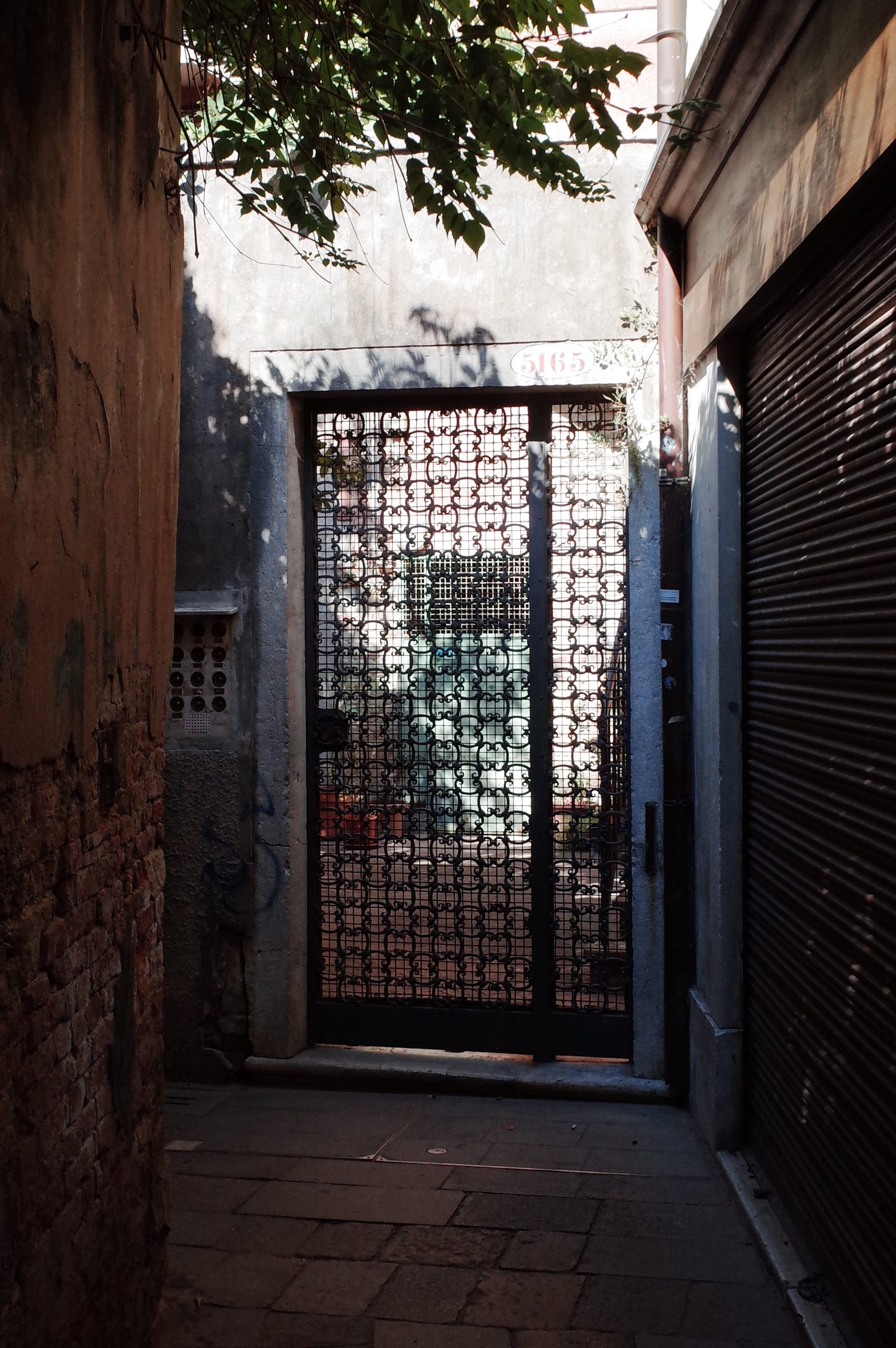 Venice street view